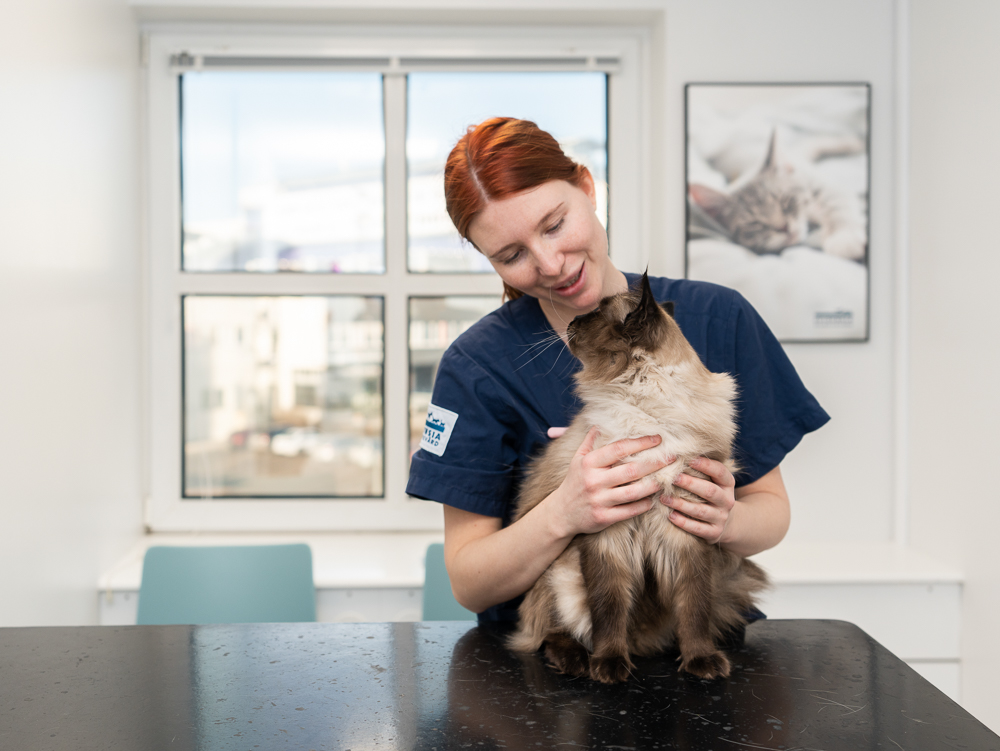 HR Business Partner till Evidensia